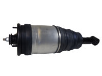 RPD501090 BWI Air Strut Land Rover Discovery 3 L319 Rear...
