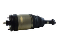 LR041110 BWI Air Strut Land Rover Discovery 3 L319 Rear...