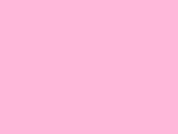 Net - Pink