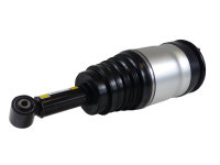 LR014195 - DUNLOP Air suspension strut Land Rover Discovery 3 L319 Rear axle (Without ADS)